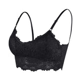 Sexy Lace Bralette Tube Tops Bandeau Summer Women Lace Bra Tanks Crop Tops Bandeau Girl Underwear Solid Color Camisole Hot Sale  Free Shipping