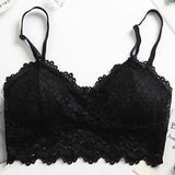 Sexy Lace Bralette Tube Tops Bandeau Summer Women Lace Bra Tanks Crop Tops Bandeau Girl Underwear Solid Color Camisole Hot Sale Free Shipping